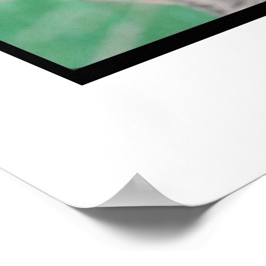 Mastiff Brindle Poster (Hoek)