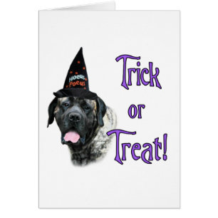 Mastiff (brindle) truc