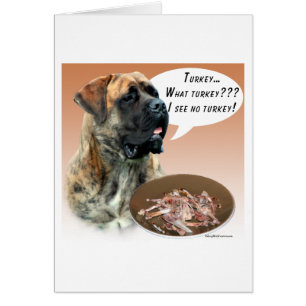 Mastiff (brindle) Turkije