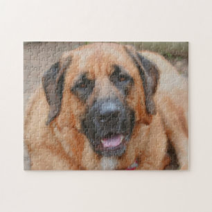 Mastiff Dog Art Foto's schilderen Legpuzzel