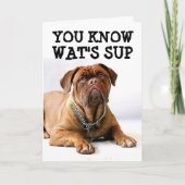 MASTIFF DOG BIRTHDAY FUNNY CARD KAART (Voorkant)