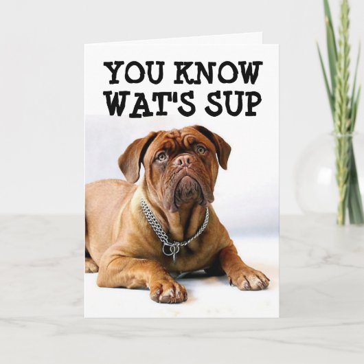 MASTIFF DOG BIRTHDAY FUNNY CARD KAART (Voorkant)