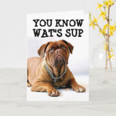 MASTIFF DOG BIRTHDAY FUNNY CARD KAART (Gele Bloem)