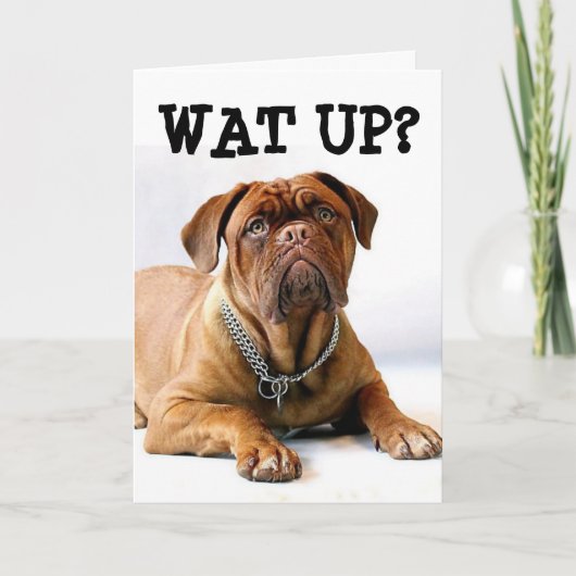 MASTIFF DOG DENKEN AAN JE FUNNY CARD KAART (Voorkant)