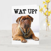 MASTIFF DOG DENKEN AAN JE FUNNY CARD KAART (Gele Bloem)