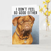 MASTIFF DOG FUNNY KRIJGT GOEDE KAARTEN (Gele Bloem)
