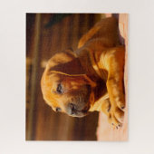 Mastiff Dog. Legpuzzel (Verticaal)