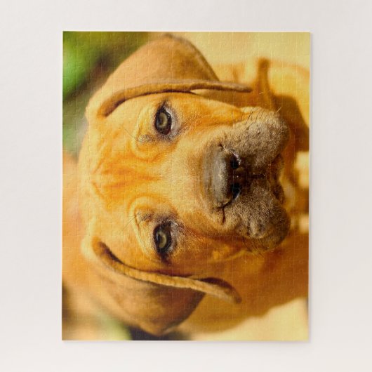 Mastiff Dog. Legpuzzel (Verticaal)