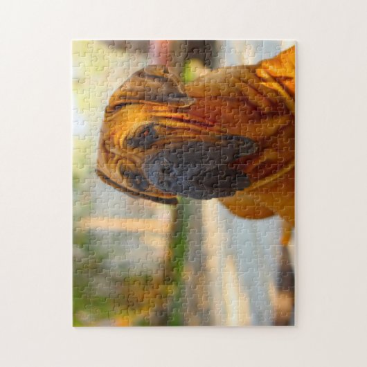 Mastiff Dog. Legpuzzel (Verticaal)