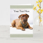 Mastiff/Dog op Witte Achtergrond Wenskaart Kaart (Gele Bloem)