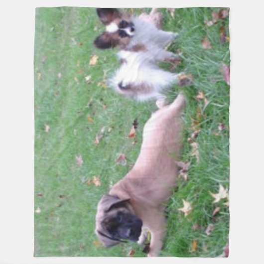 MASTIFF en PAPILLON PUPPYS Fleece Deken (Voorkant)