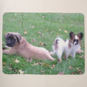 MASTIFF en PAPILLON PUPPYS Sherpa Deken