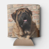 Mastiff englische Dogge Blikjeskoeler (Achterkant)