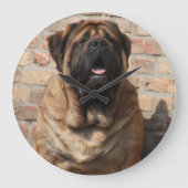Mastiff englische Dogge Grote Klok (Voorkant)