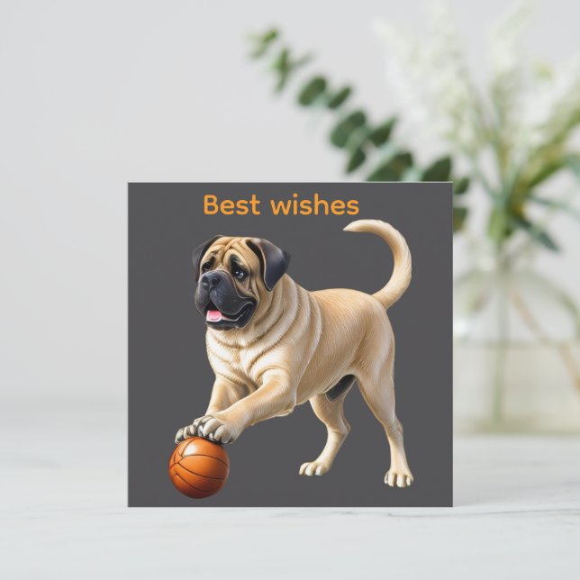 Mastiff englische Dogge mit Ball im Urlaub (Staand voorkant)