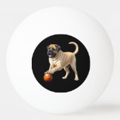 Mastiff englische Dogge mit Ball im Urlaub (Voorkant)