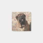 Mastiff englische Dogge Post-it® Notes (Voorkant)