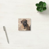 Mastiff englische Dogge Post-it® Notes (Kantoor)