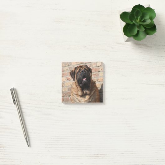 Mastiff englische Dogge Post-it® Notes (Kantoor)