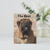  Mastiff englische Dogge Vatertag  Briefkaart (Staand voorkant)