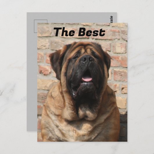  Mastiff englische Dogge Vatertag  Briefkaart (Voorkant / Achterkant)