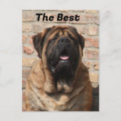  Mastiff englische Dogge Vatertag  Briefkaart (Voorkant)