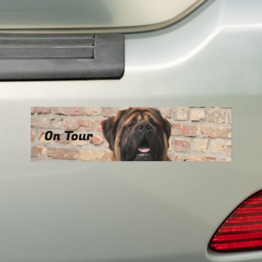  Mastiff englische Dogge Vatertag  Bumpersticker (Op auto)