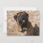 Mastiff englische Dogge Vatertag Kaart (Voorkant)