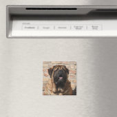 Mastiff englische Dogge Vatertag Magneet (Insitu (Vaatwasser))