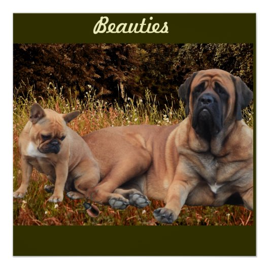 Mastiff englische Dogge Vatertag Perfect Poster (Voorkant)