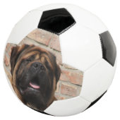 Mastiff englische Dogge Voetbal (Drie kwart)