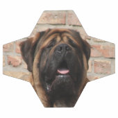 Mastiff englische Dogge Voetbal (Enkel)