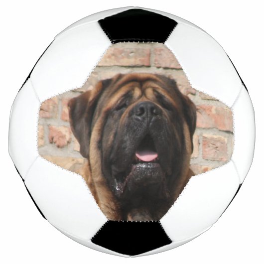Mastiff englische Dogge Voetbal (Voorkant)