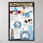 Mastiff Facts Poster (Voorkant)