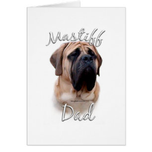 Mastiff (fawn) Pap 2