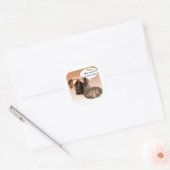 Mastiff (Fawn) Turkije Ronde Sticker (Envelop)