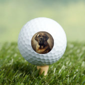Mastiff Golfballen (Insitu Shirt)