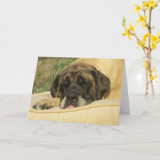 Mastiff Greeting Kaart (Gele Bloem)