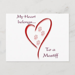 Mastiff hart behoort briefkaart