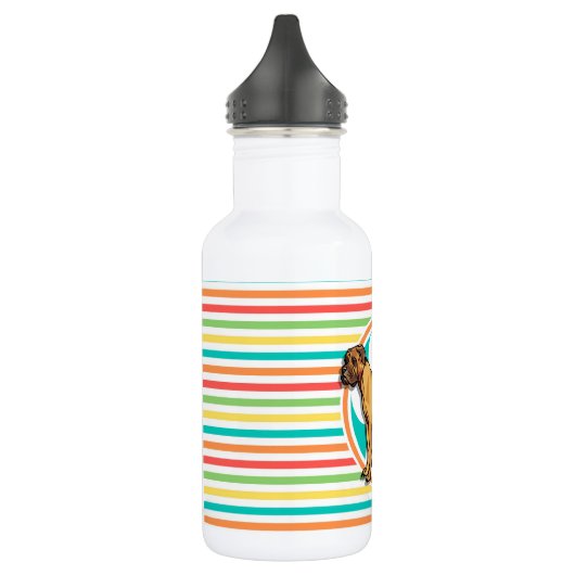 Mastiff; heldere regenboogstrepen waterfles  (Links)
