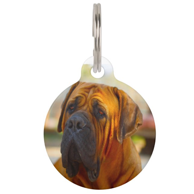 Mastiff-hond. Huisdierpenning (Voorkant)