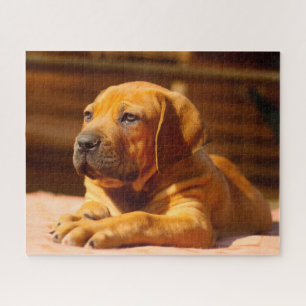Mastiff hond. legpuzzel
