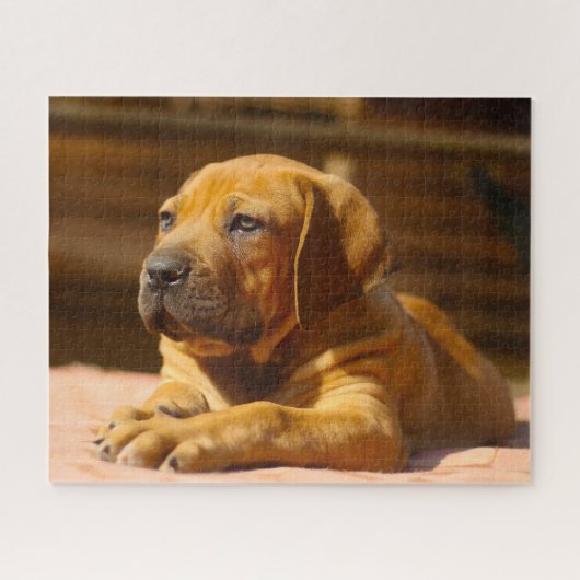 Mastiff hond. legpuzzel (Horizontaal)