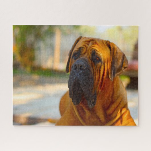 Mastiff hond. legpuzzel (Horizontaal)