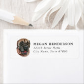 Mastiff-hond retouradreslabels etiket (Insitu)