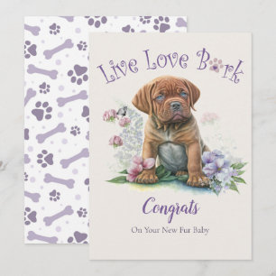 Mastiff honden adoptie, Gotcha-dag Kaart
