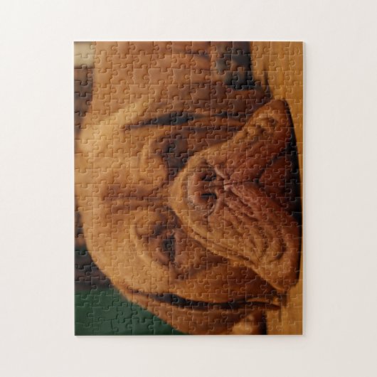 Mastiff Hondenras. Legpuzzel (Verticaal)