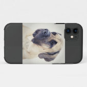 Mastiff iPhone5 Hoesje (Achterkant (horizontaal))