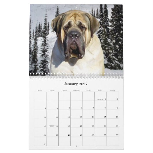 Mastiff Kalender (Jan 2027)