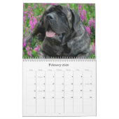Mastiff Kalender (Feb 2026)
